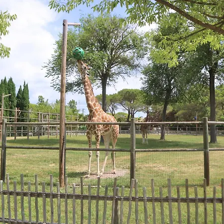 Apartment Palm Lignano Sabbiadoro
