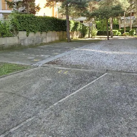 Apartament Palm